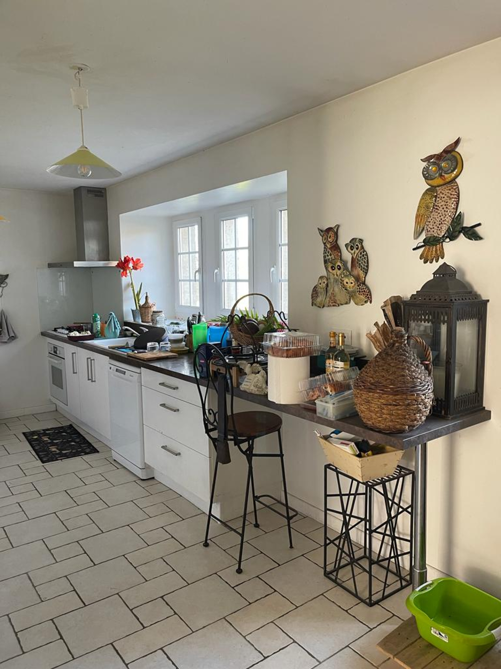 Image_5, Propriete, Varilhes, ref :870