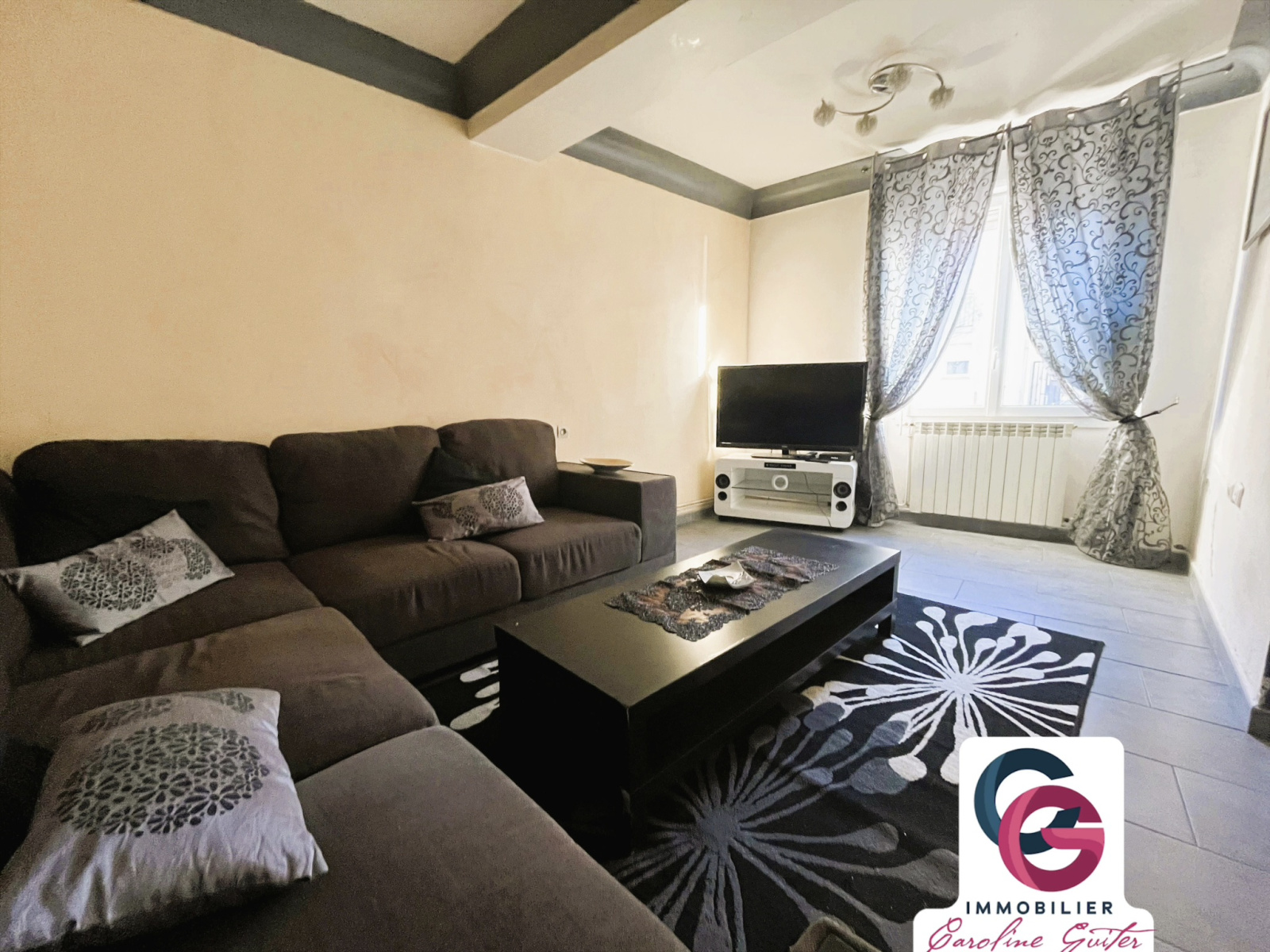 Image_1, Immeuble, La Tour-du-Crieu, ref :925