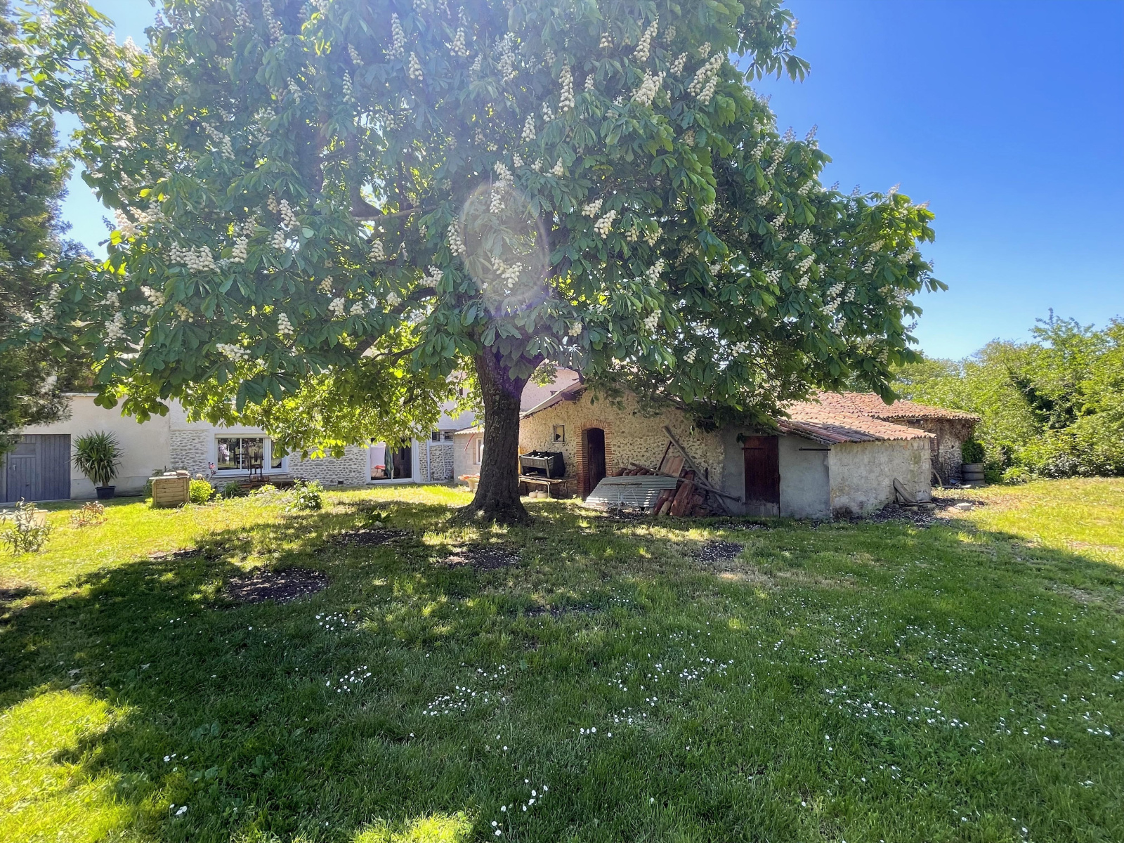 Image_2, Maison, Pamiers, ref :935