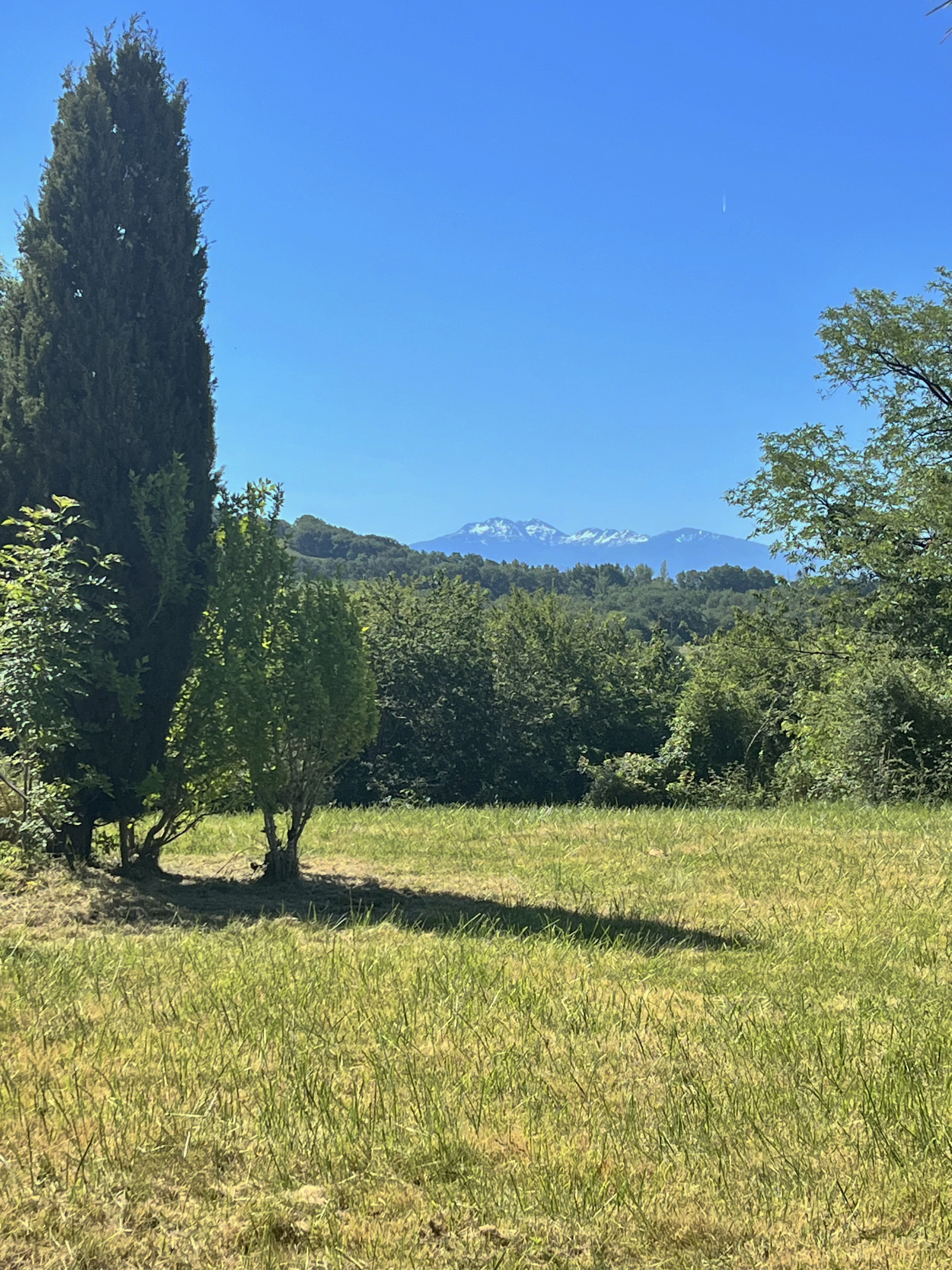 Image_4, Bastide, Saverdun, ref :972