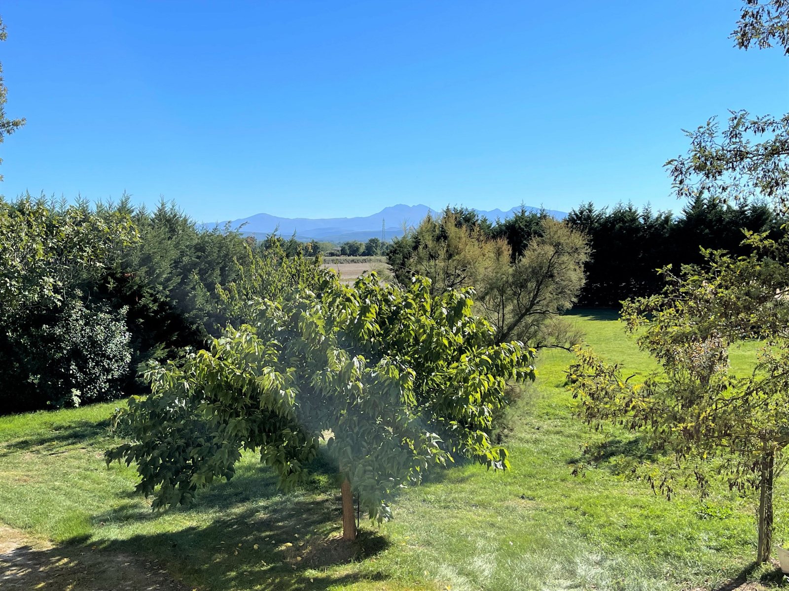 Image_9, Ferme, Pamiers, ref :740