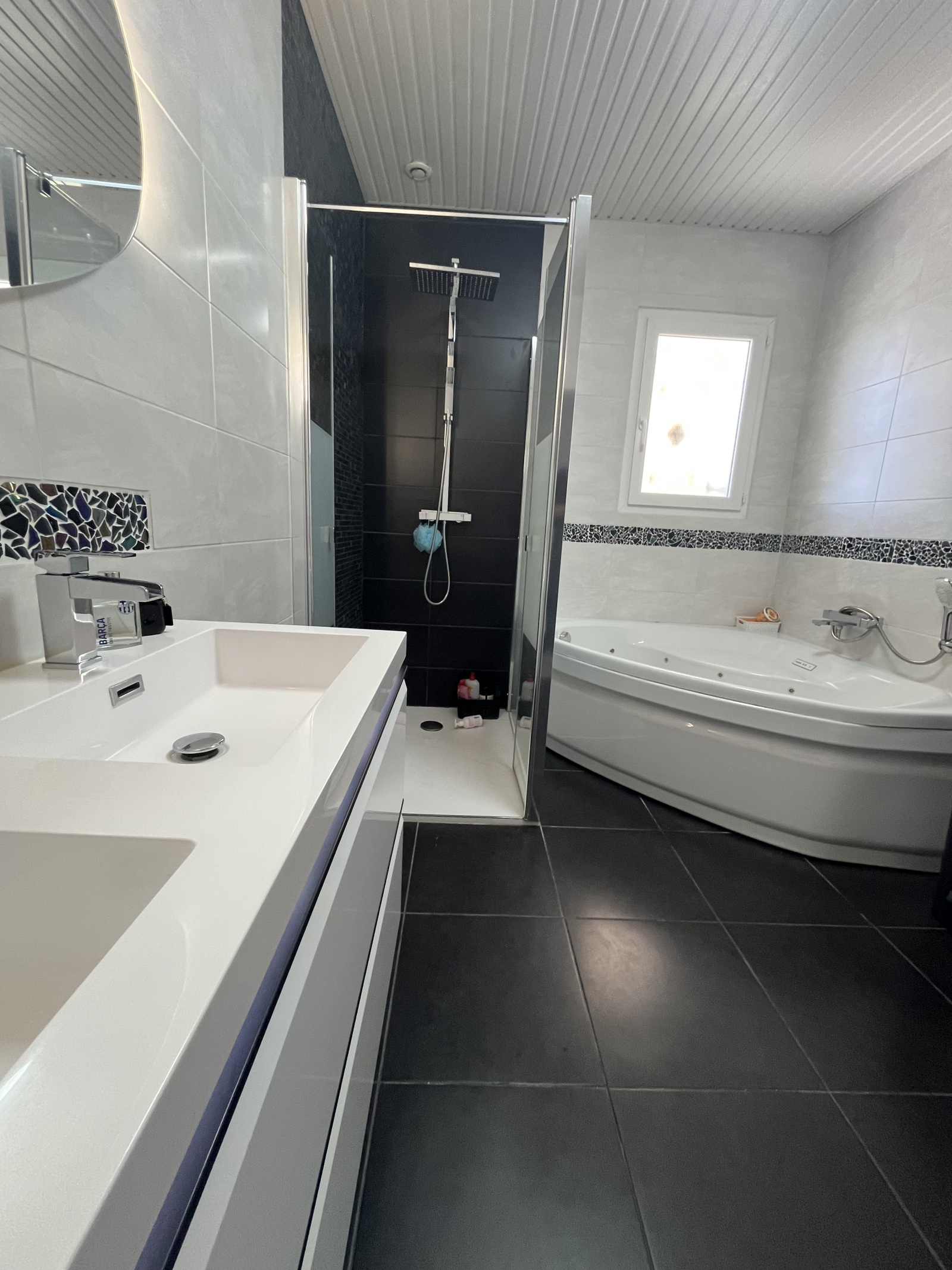 Image_11, Villa, La Tour-du-Crieu, ref :969