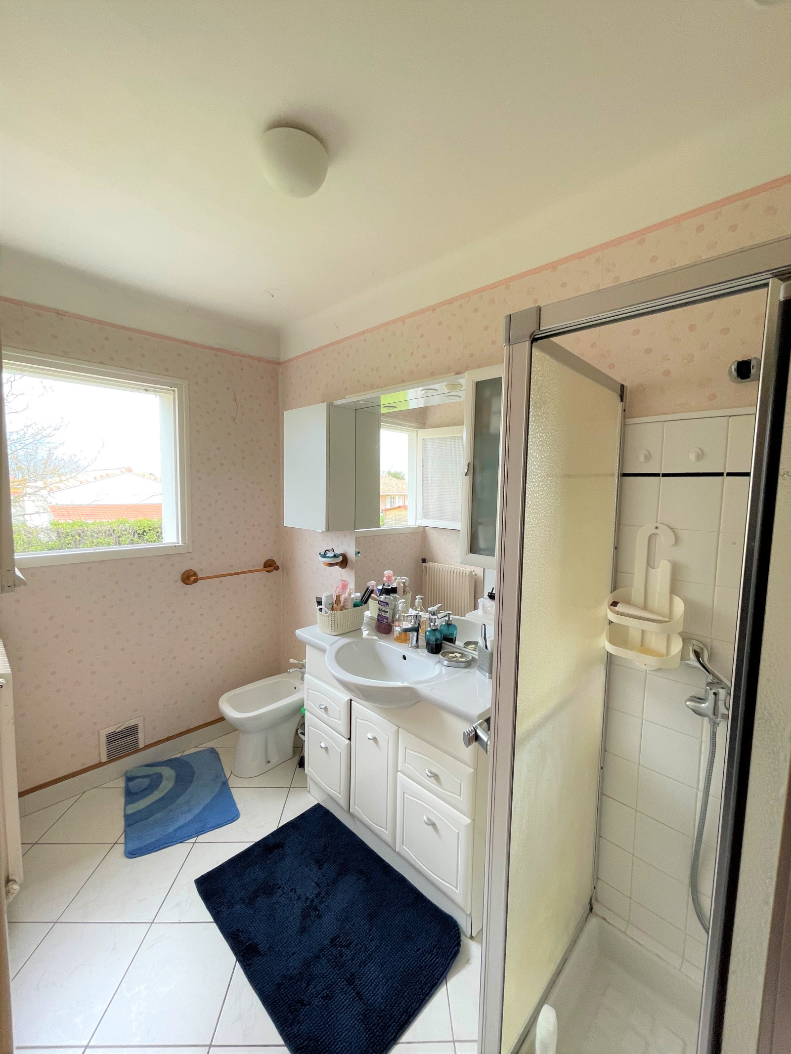 Image_7, Maison, La Tour-du-Crieu, ref :710