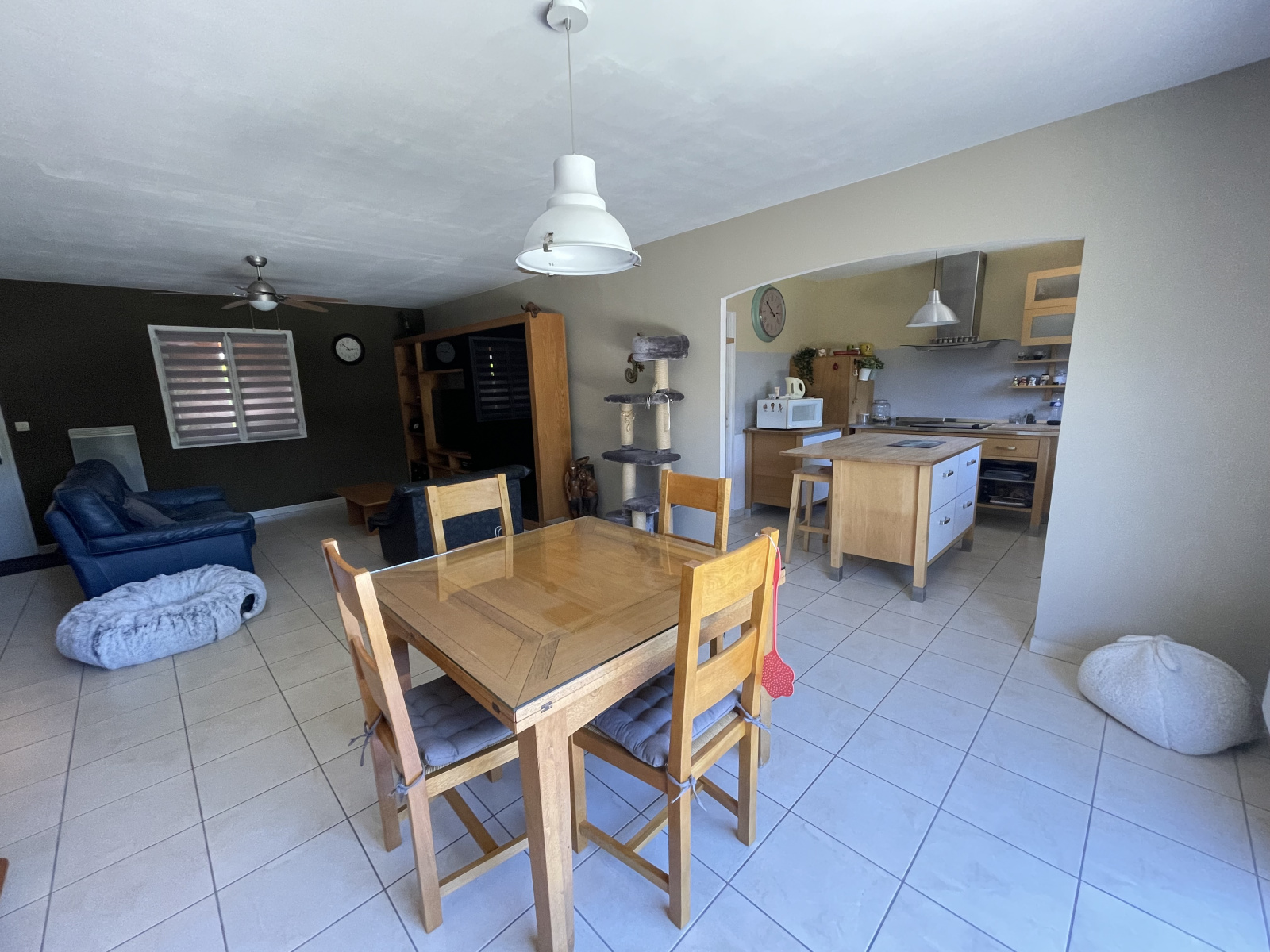 Image_3, Maison, La Tour-du-Crieu, ref :874